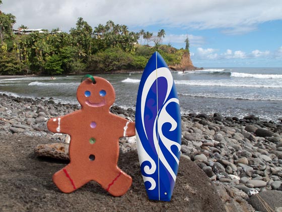 Mr. Gingerbread goes surfing